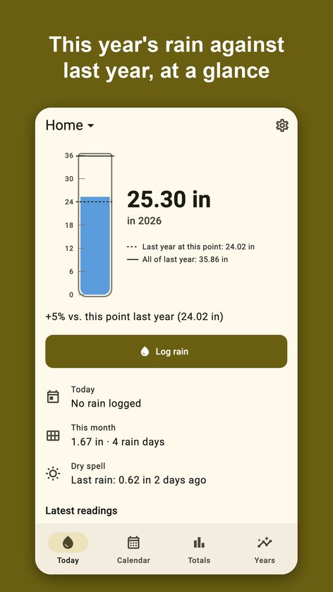Pluvial: Rain Gauge Log