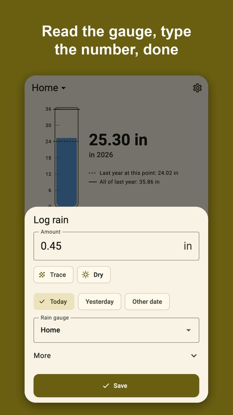 Pluvial: Rain Gauge Log